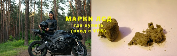 прущие грибы Алзамай