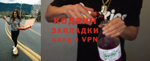 прущие грибы Алзамай