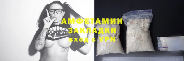прущие грибы Алзамай