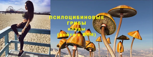 ешки Алексин