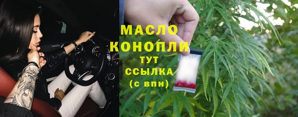 прущие грибы Алзамай
