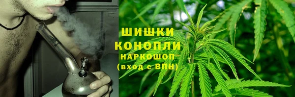 прущие грибы Алзамай